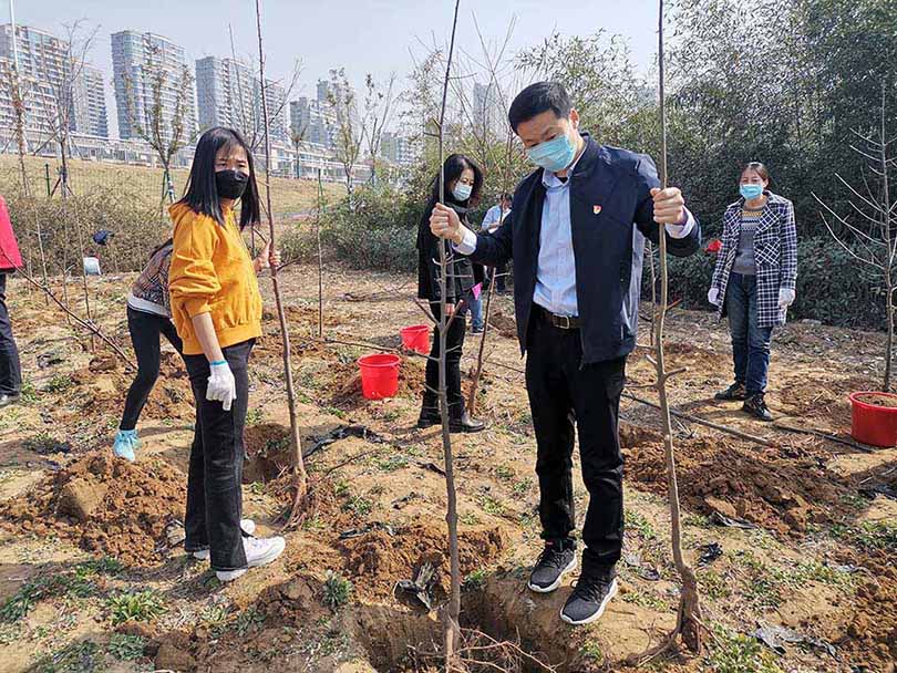 組織參加義務(wù)植樹活動